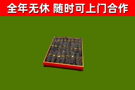 游仙区回收海参